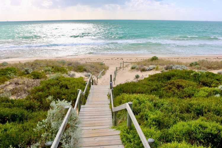 Discover Perth with official hop-on hop-off bus tours – Flexible routes, iconic monuments, and panoramic city views 2026